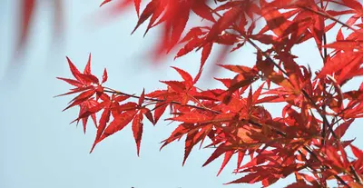 Zielone Studio Architektura Krajobrazu sp. z o.o.